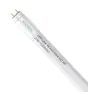 Noxion LED Lysrør T8 Avant Extreme (HF) High Output 20W 3100lm - 865 daglys | 150cm - erstatter 58W